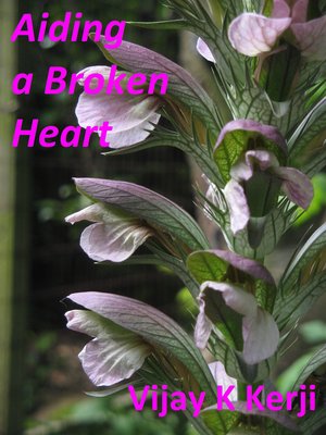 cover image of Aiding a Broken Heart